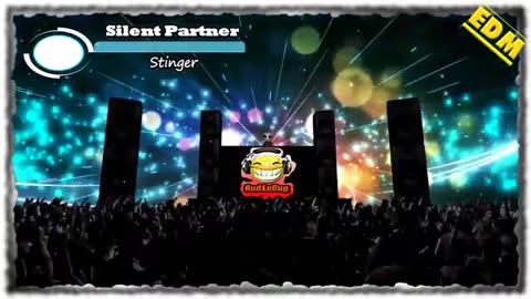 Silent Partner Stinger EDM NO COPYRIGHTS #edm #audiobug71 #nc