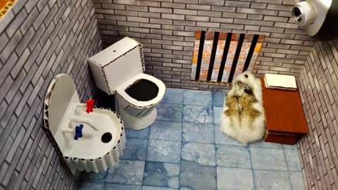 🐹Hamster escapes the awesome maze for Pets in real life