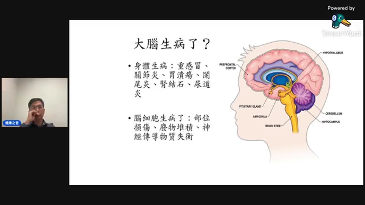 哈佛教授說，50%現代人會得精神疾病，怎麼辦？
