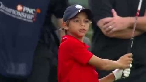 Tiger Woods reacts to Charlie & Tiger- Mannerisms video_Cut