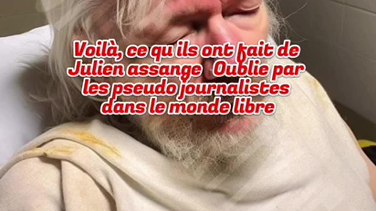 Free assange