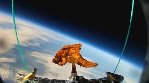 Feast your eyes: Lamb chop sent into space from UK