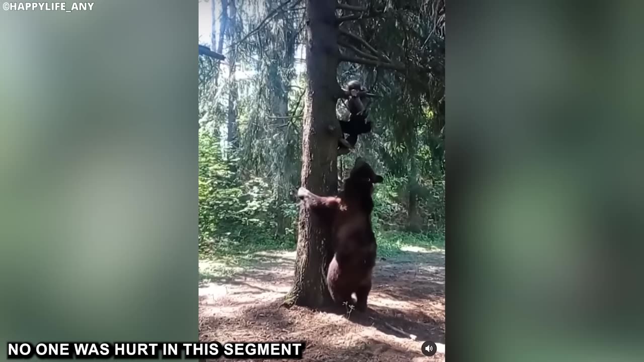 If You're Scared of Bears, Don't Watch This Video!