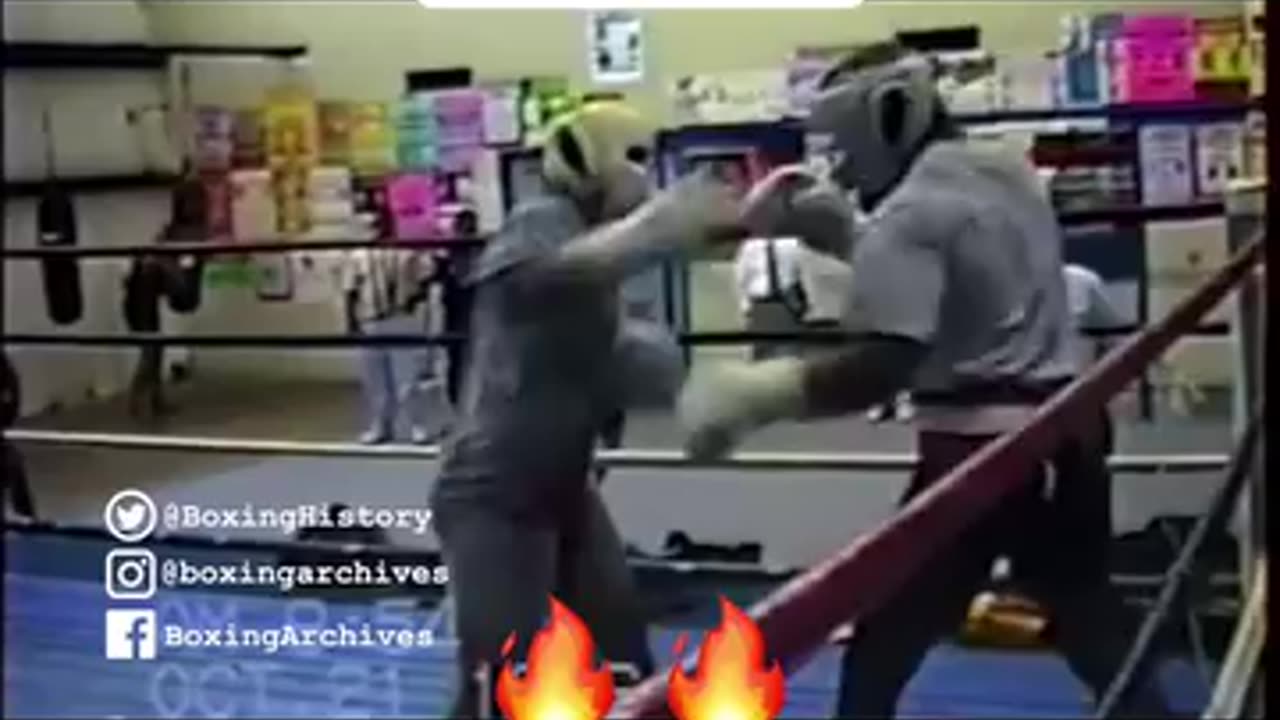 Evander Holyfield vs David Tua Sparring