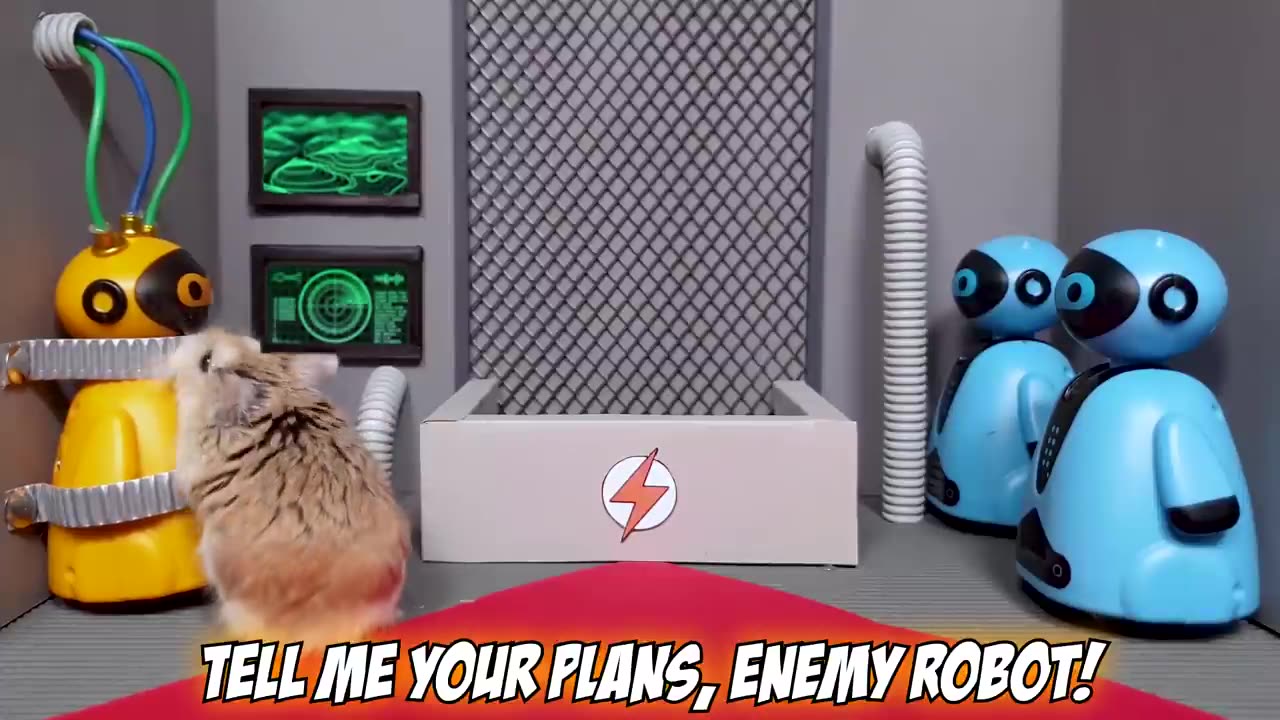 Major HAMSTER vs CAT in ROBOT BATTLE