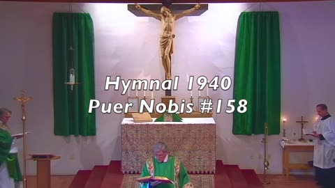 Puer Nobis #158