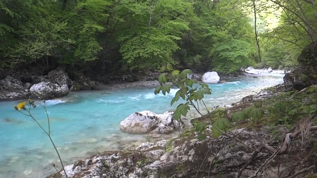 SLO-FLY.COM Fly fishing Slovenia. 2013 Part 1