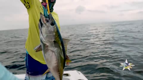 Extreme Saltwater Fishing 2