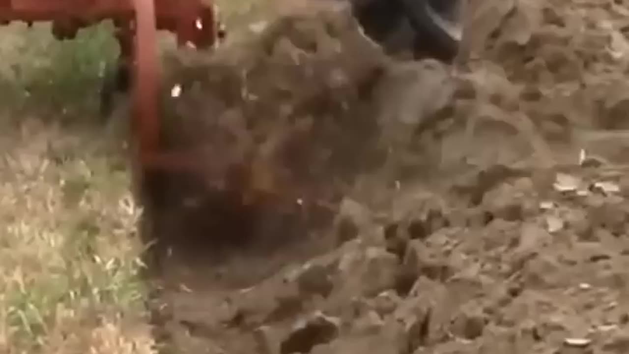 2 point 1 bottom Fast Hitch plow gettin it 😎