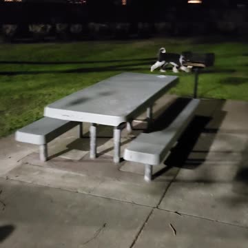 George looking for the ball.