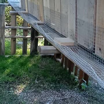 Flock it Farm DIY: quail pen made out of free wood pallets