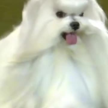 The Fallout Grows! (Ep. 2262) - 06/03/2024