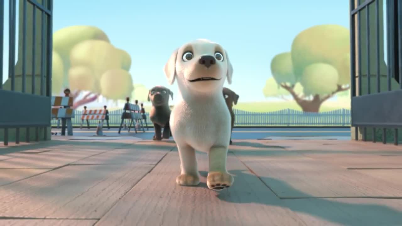 Pip | A Short Animated Film by Southeastern Guide Dogs