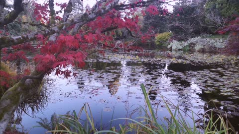 Vandusen garden 10/28 2023