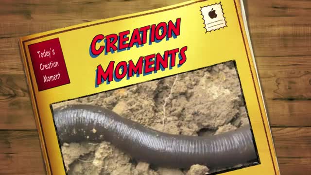 Earthworm Or Draining Bathtub - Today's Creation Momen_Cut