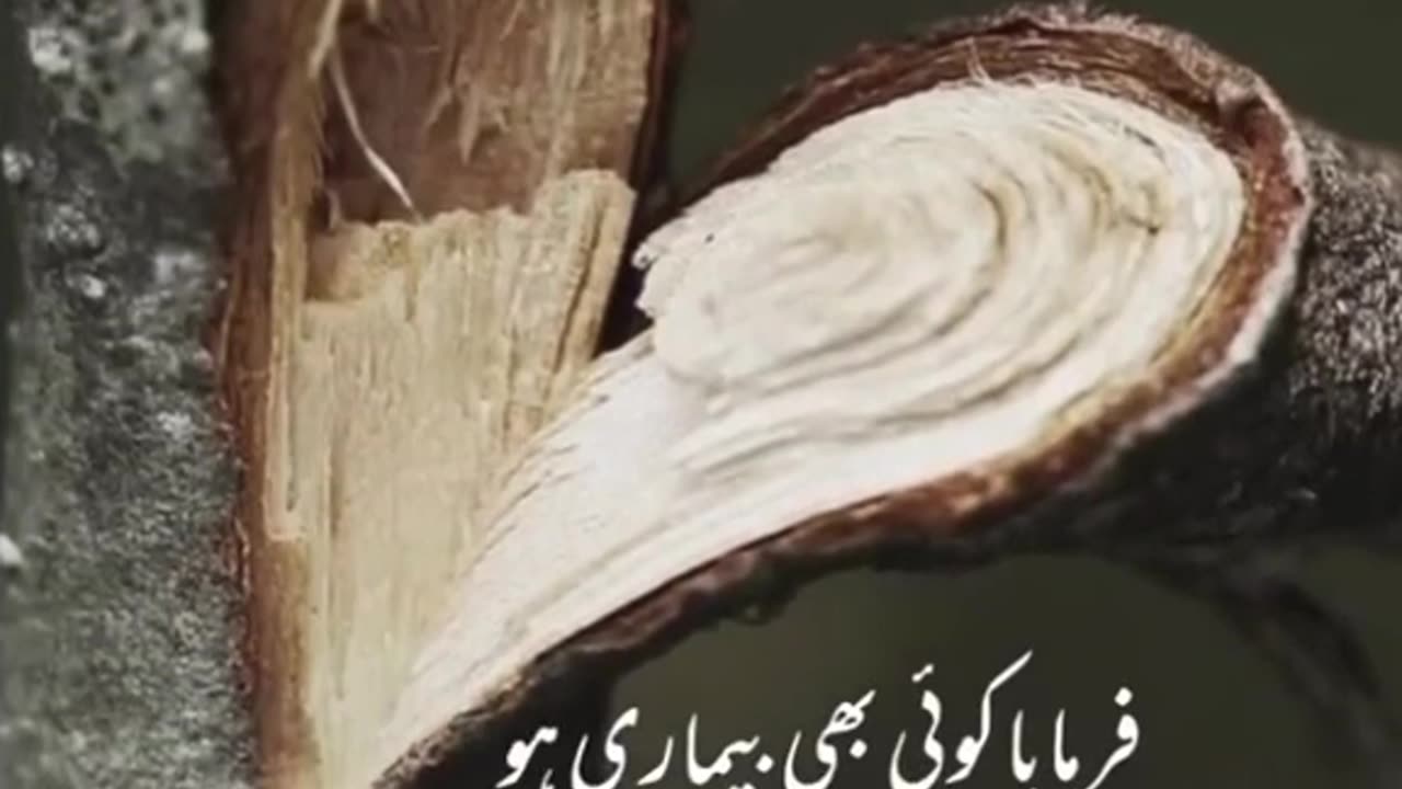 Nabi Pak (PBUH) ne farmaya
