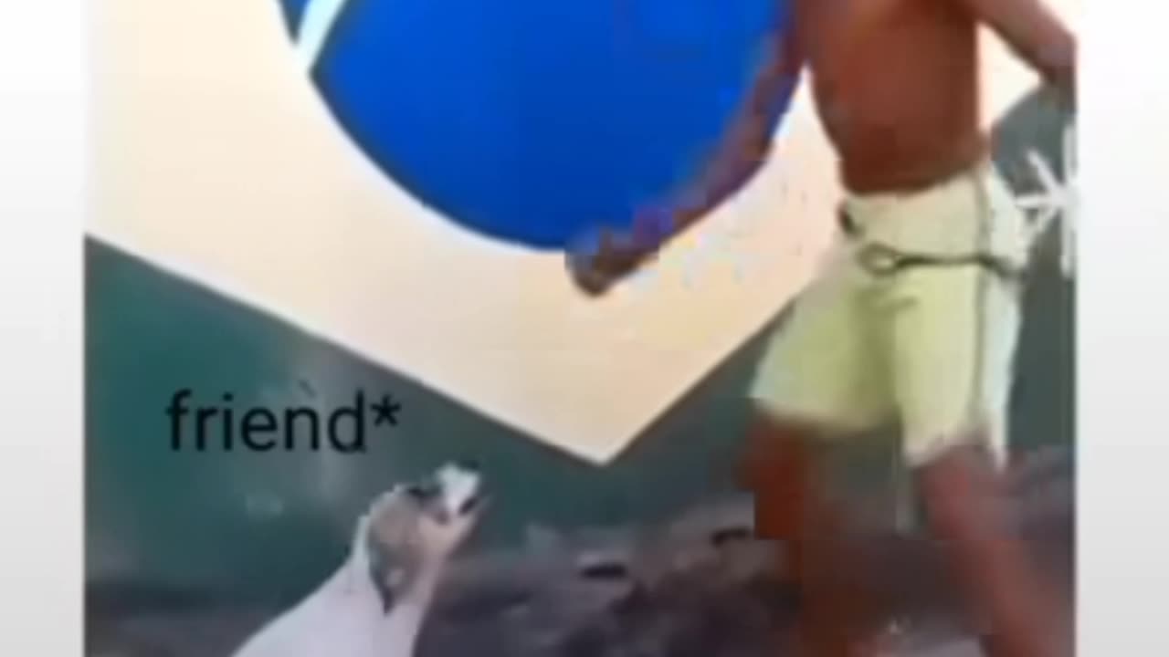 My friend this dog
