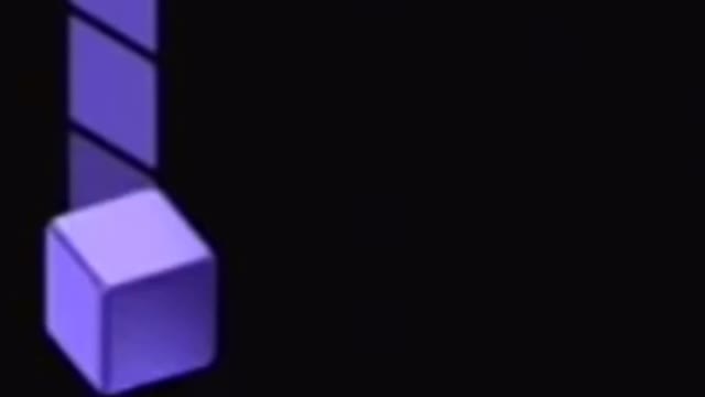 GameCube cat with a belt😂🤣🤣🤣