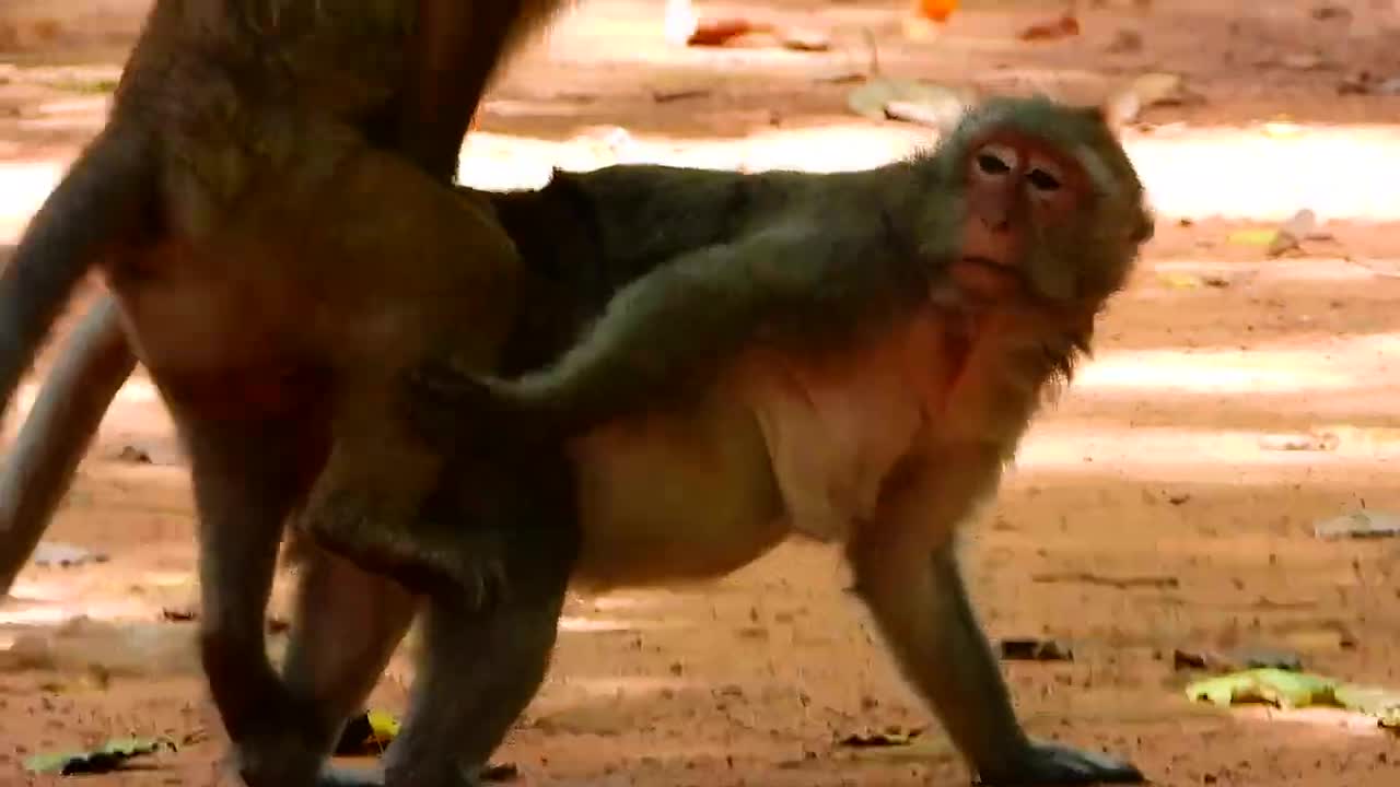 Oh Yeahh..! My Dear Happpy Time.