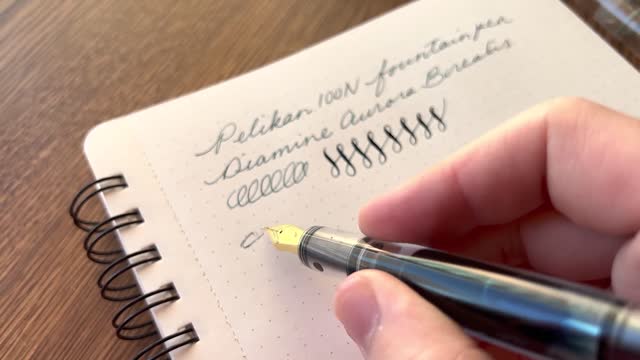 My FAVORITE Fountain Pens of 2021!