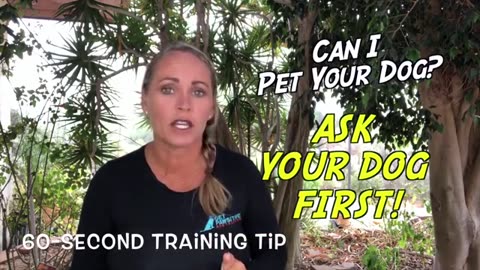Doge training videos