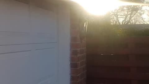 Sunset video