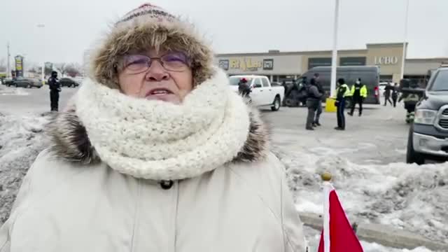 'Canada [is] supposed to be a free country': bridge blockade protesters after crackdown