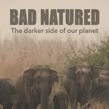 Face to face with the darker side of our