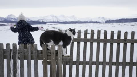 My cat playing outside