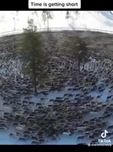 2276. | Signs and Wonders 📜⌛(Please💖Comment)