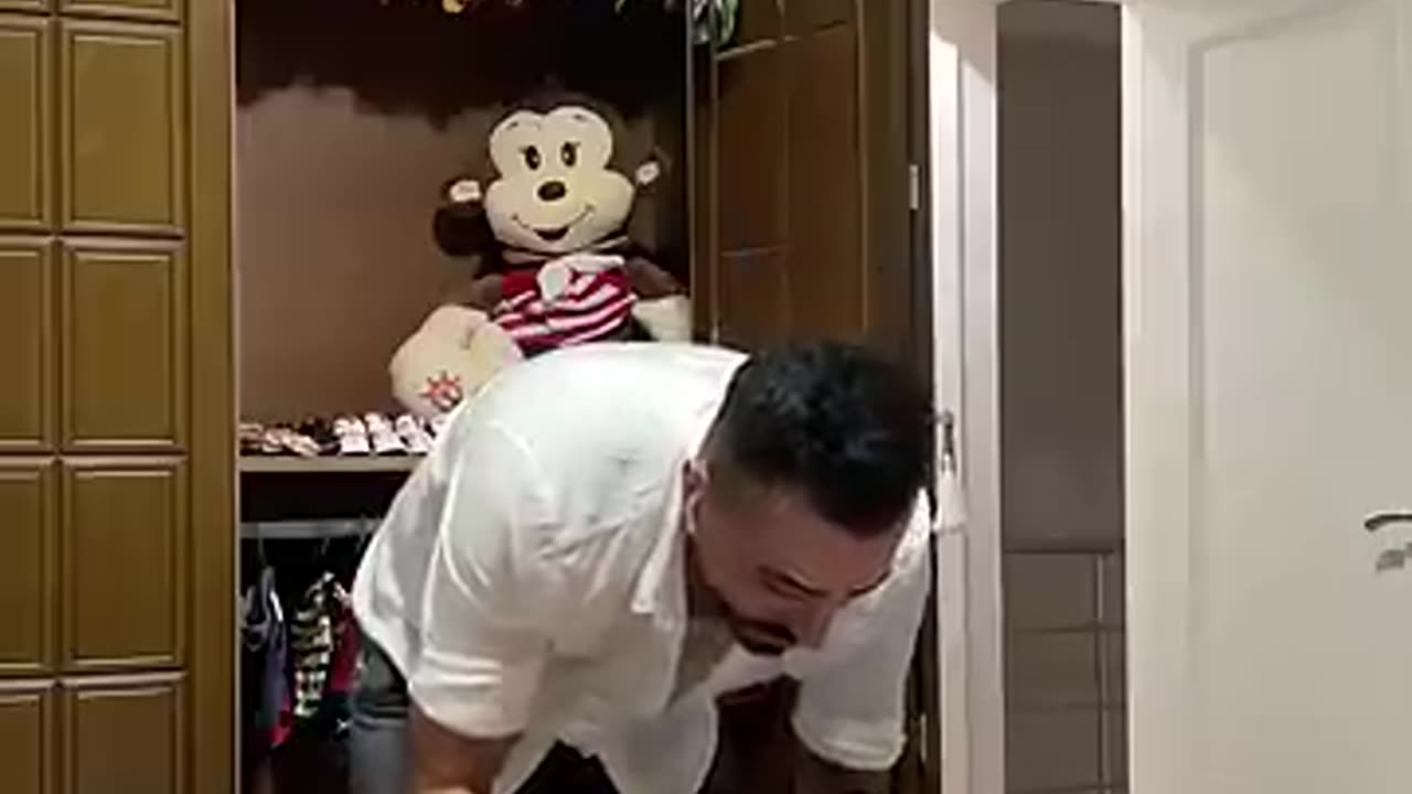 funny animal video