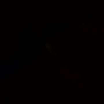 hopics security throws out program participant from motel