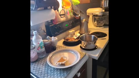 How to can salmon