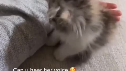 Can you hear her voice?