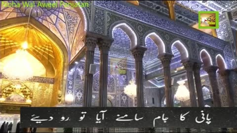 Manzar Jo Karbala Ka Dikhaya Tu Ro Diye S421