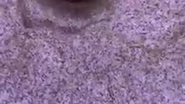 Proof that the EARTH is STATIONARY