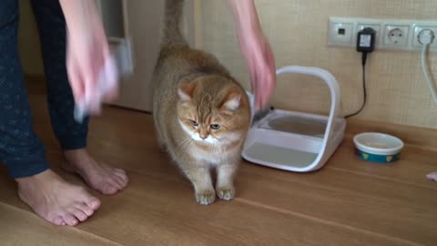 Drink, drink water Hosico