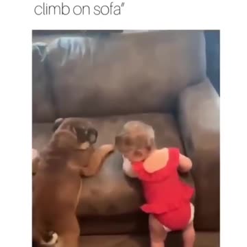 Funny Baby and dog