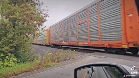 Train in Detroit Michigan