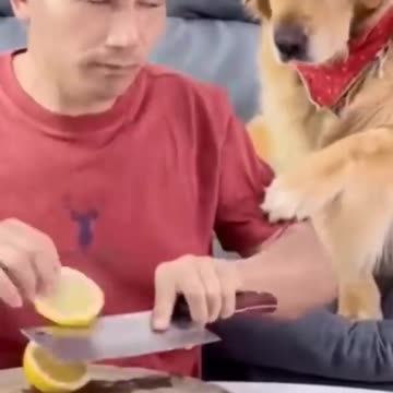 haha so funny 😂😂🤣🤣