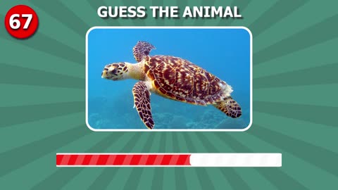 guess the 100 animals / high level iq