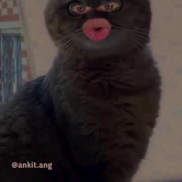 Apni Life pe dhiyan de | Bangad Billa | Ankit ang #2shots #angvines #shots #bangadbilla