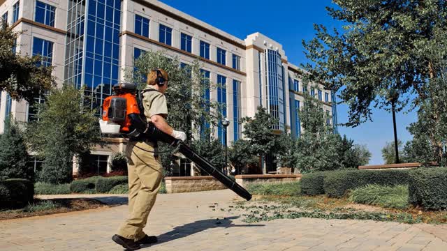 Best 5 Backpack Leaf Blower ( Top 5 Backpack Leaf Blower )