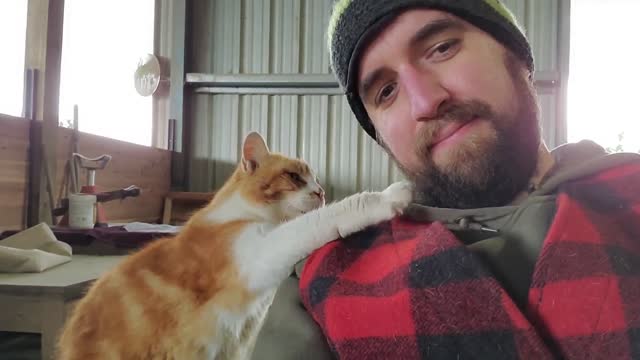 Barn Cat Pats Man's Face Asking Him to Pet Them Some More