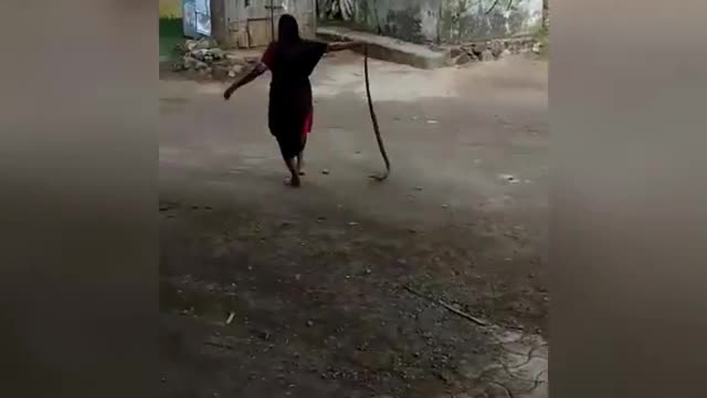 An old woman throws a cobra into the river like a pro