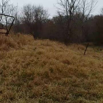 Psalm 12 Revised Standard (protect us )