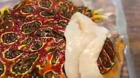 Enjoy with Funny animals frogs 🐸😂😂😂