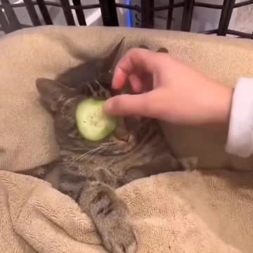 Wish I could get a massage like this