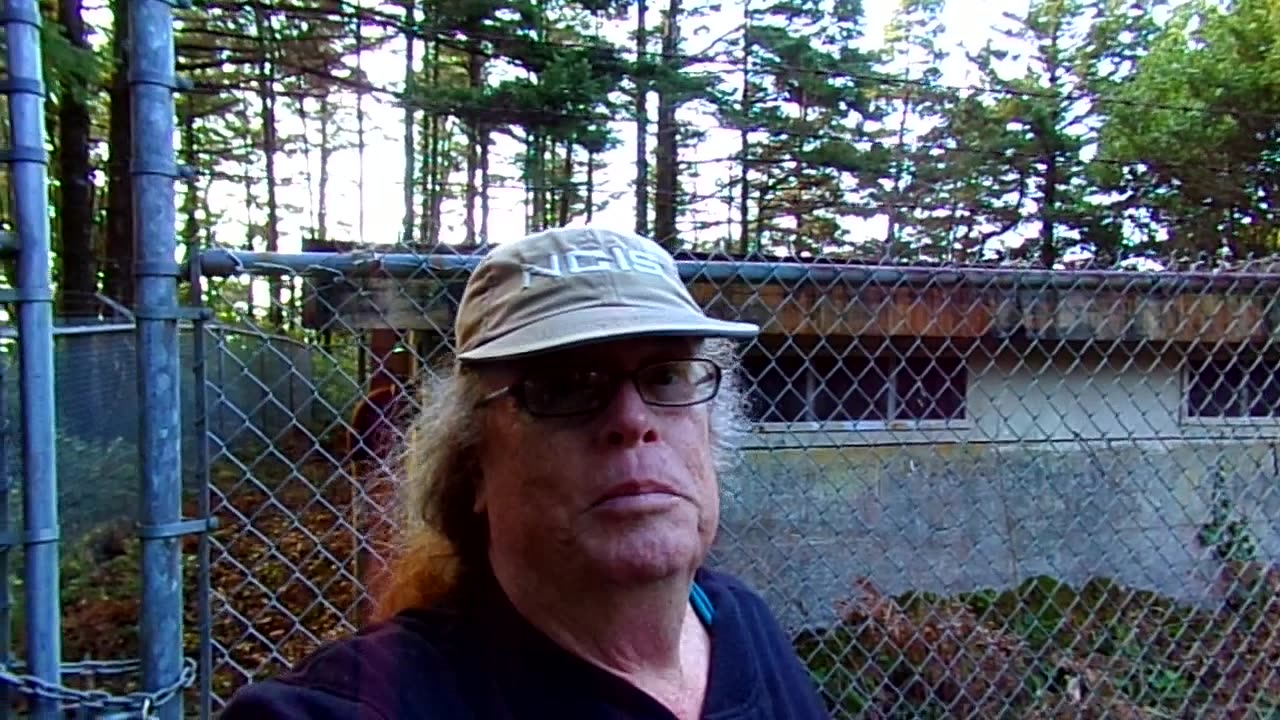 Out for a walk and look what I found: