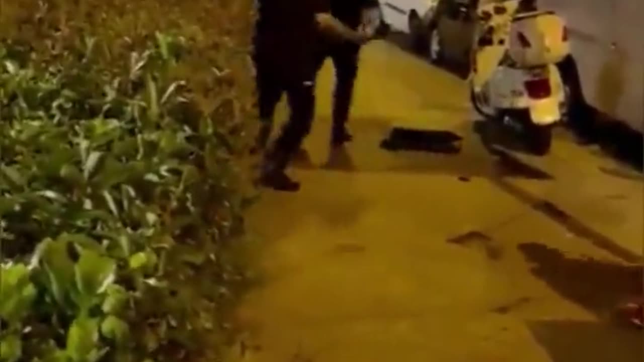 Migrant beats two Spanish police officers and then runs away.